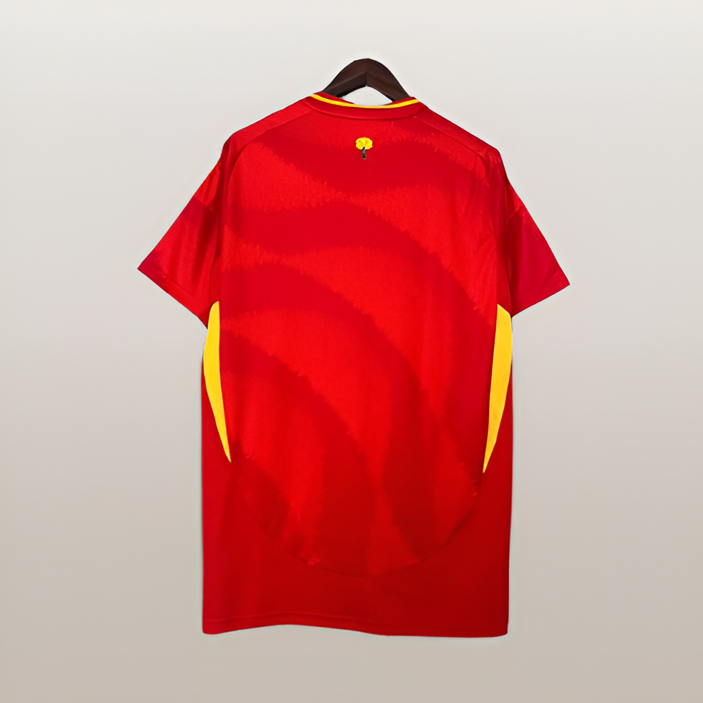 24/25 Spain Home Kit